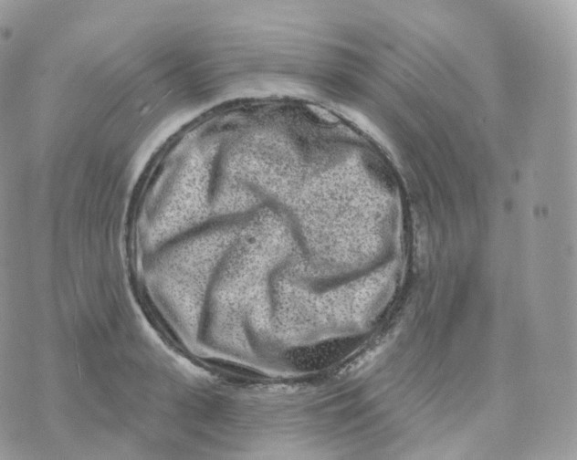 X0000070420943200606302058