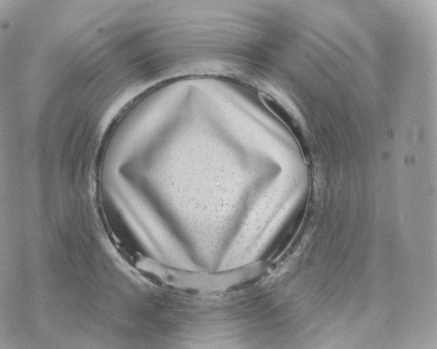 X0000070420944200606302058