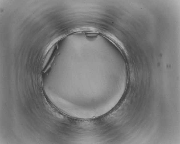 X0000070420945200606302058