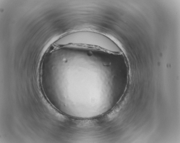 X0000070420949200606302058