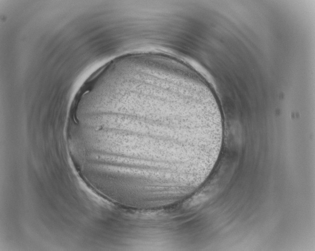 X0000070420951200606302058