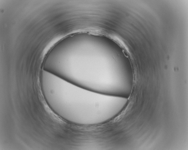 X0000070420952200606302058