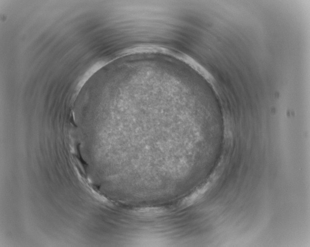 X0000070420953200606302058