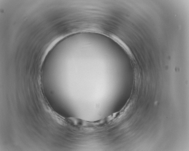 X0000070420956200606302058