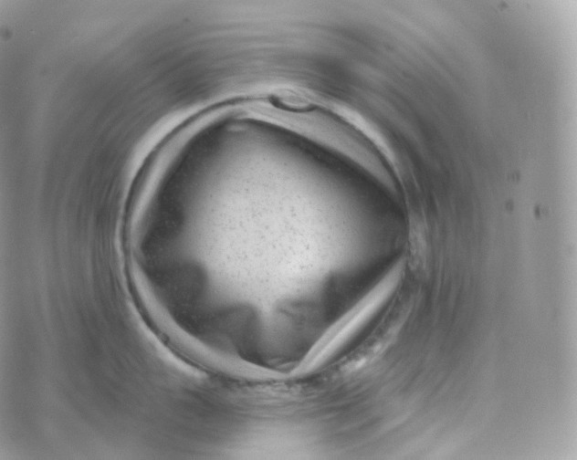 X0000070420959200606302058