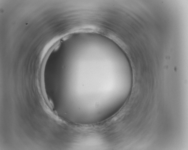 X0000070420960200606302058