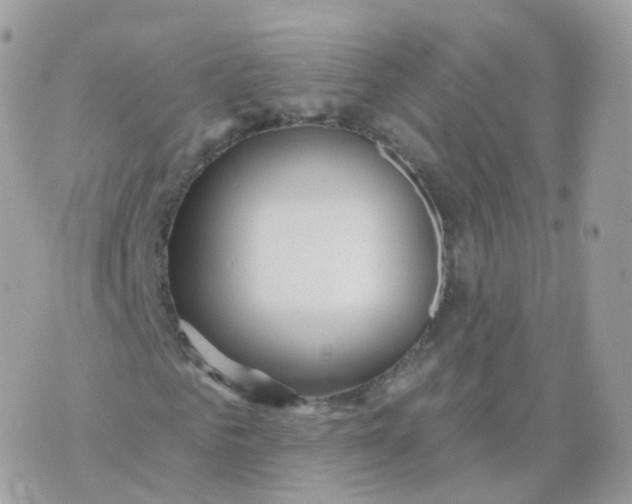 X0000070420961200606302057