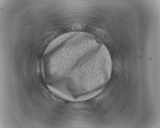 X0000070420962200606302057