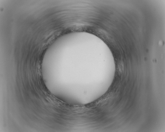 X0000070420964200606302057