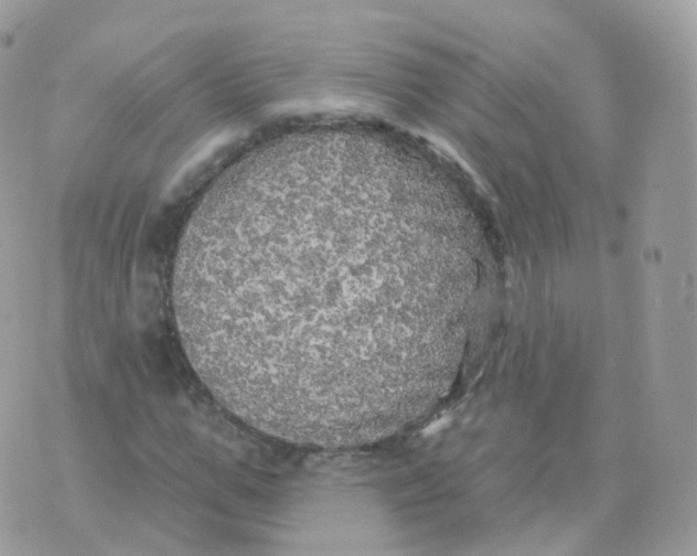 X0000070420967200606302057