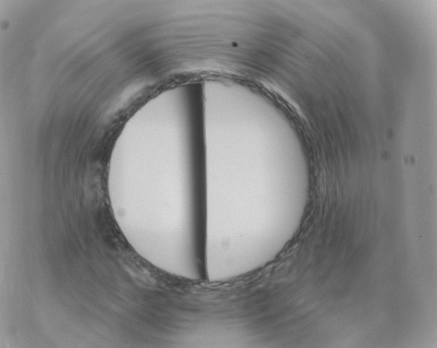 X0000070420968200606302057