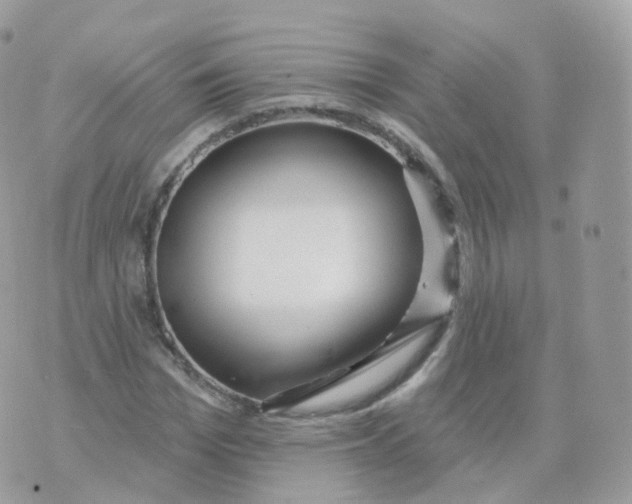 X0000070420969200606302057