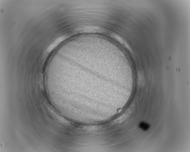 X0000070420970200606302057