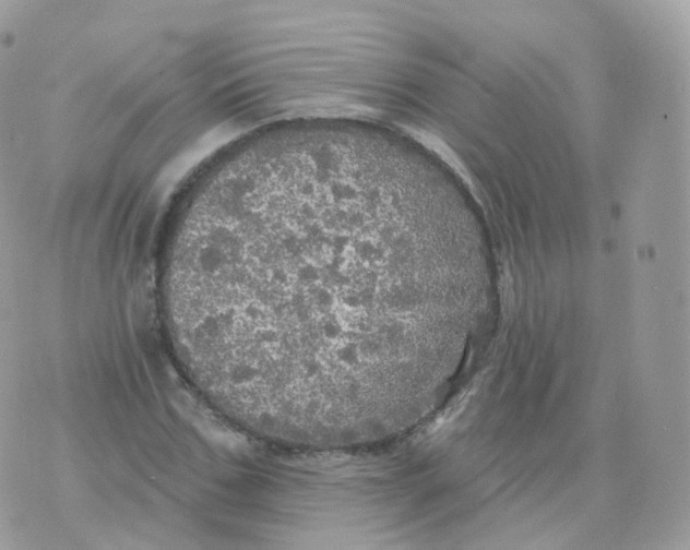 X0000070420971200606302057