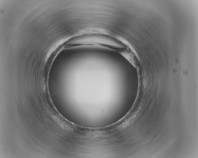 X0000070420973200606302057