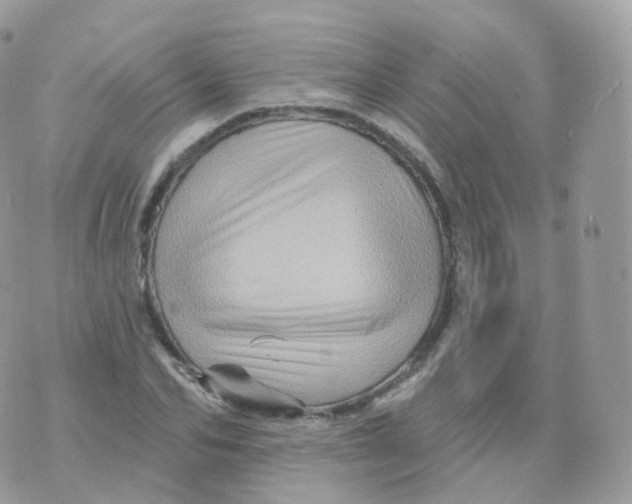 X0000070420974200606302057