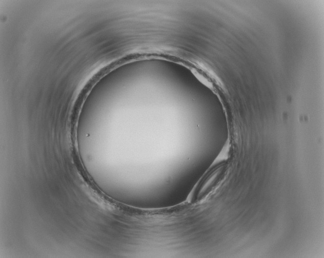 X0000070420976200606302057