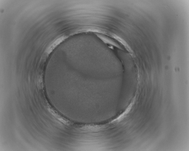 X0000070420977200606302057