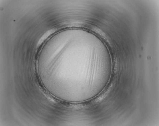 X0000070420978200606302057