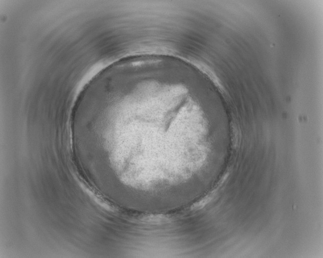 X0000070420982200606302057