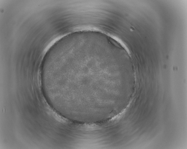 X0000070420983200606302057