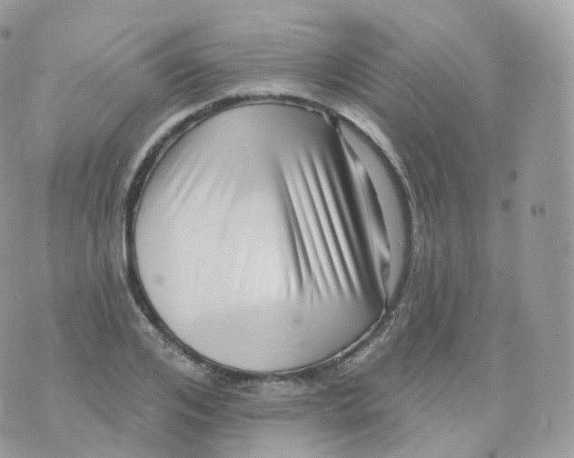 X0000070420984200606302057