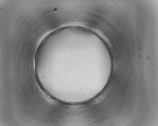 X0000070420988200606302057