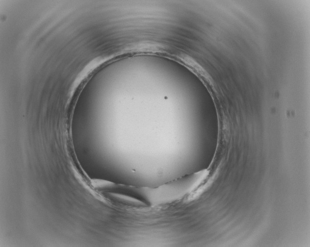 X0000070420989200606302057