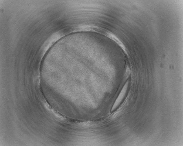 X0000070420994200606302057