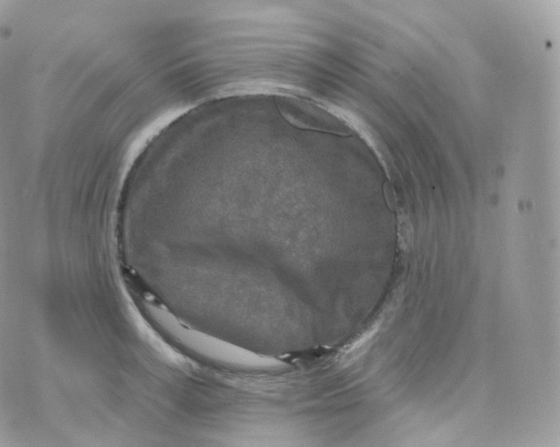 X0000070420995200606302056