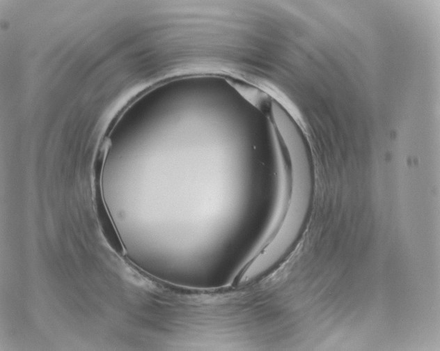 X0000070420996200606302056