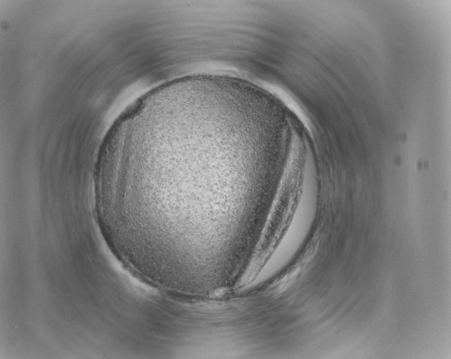 X0000070420999200606302056