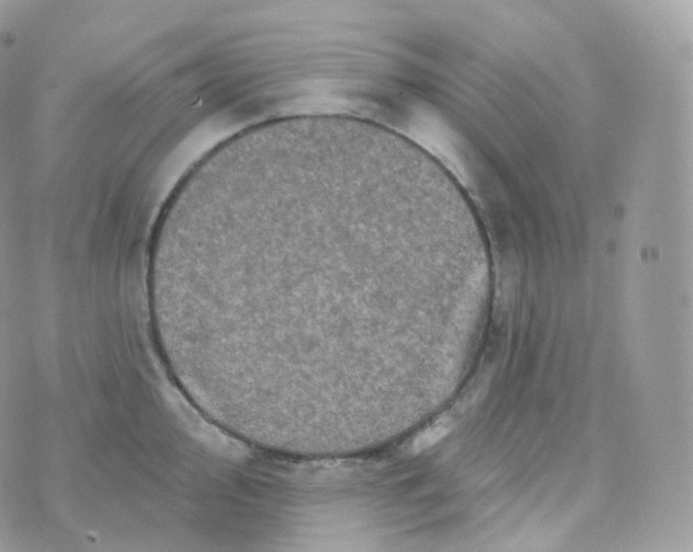 X0000070421000200606302056