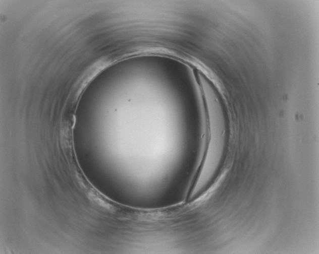 X0000070421001200606302056