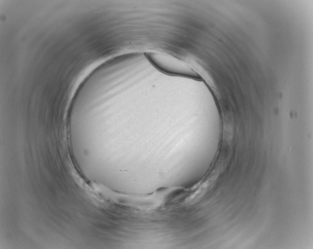 X0000070421004200606302056