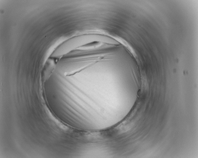 X0000070421006200606302056