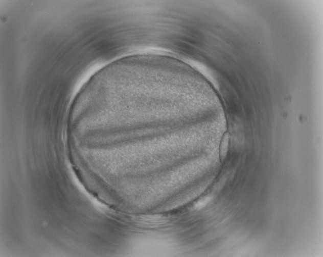 X0000070421007200606302056