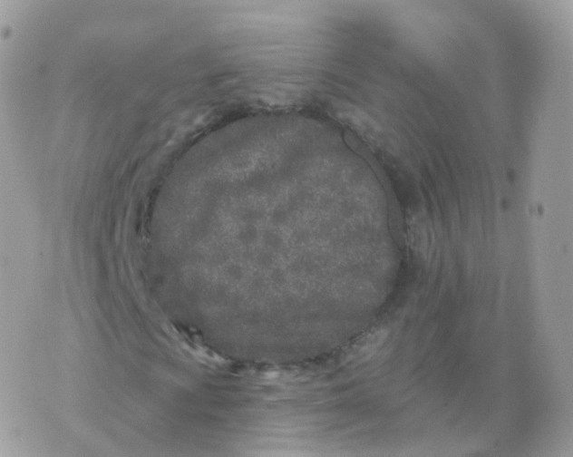 X0000070421009200606302056