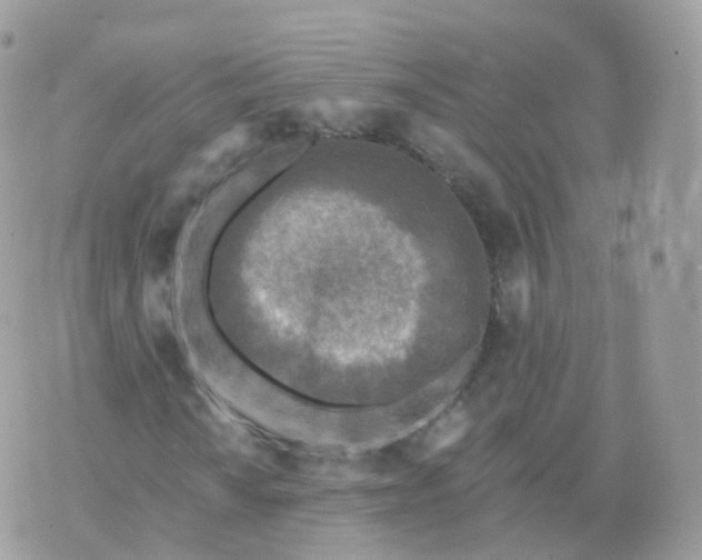 X0000070421010200606302056