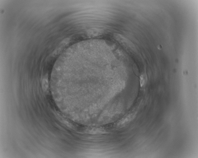 X0000070421011200606302056