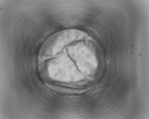 X0000070421012200606302056