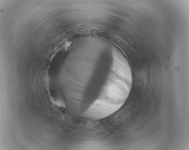 X0000070421013200606302056