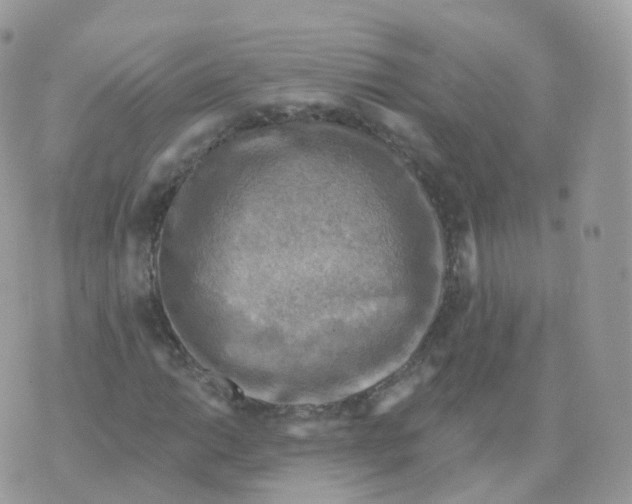 X0000070421014200606302056