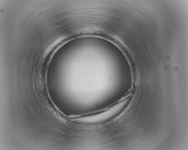 X0000070421018200606302056