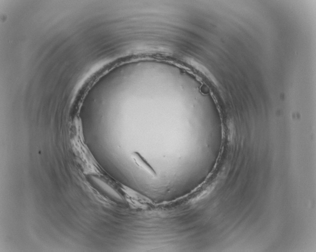 X0000070421021200606302056