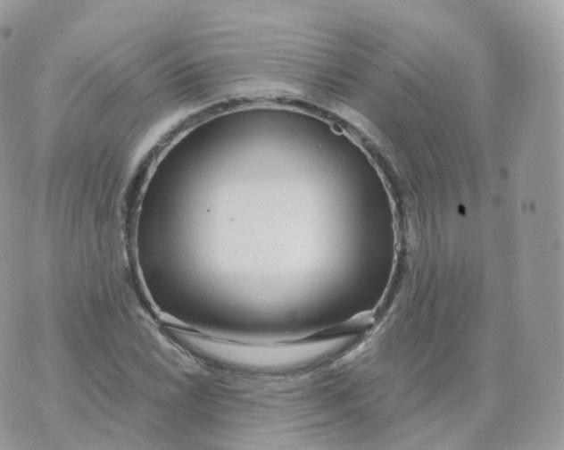 X0000070421022200606302056