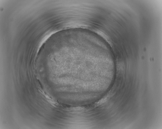 X0000070421023200606302056