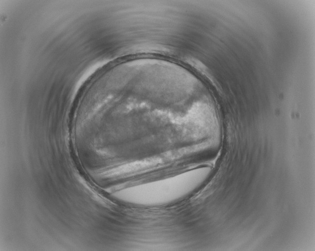 X0000070421024200606302056