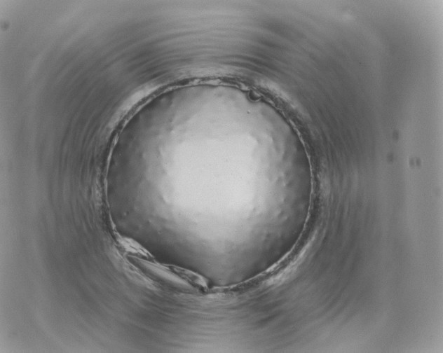 X0000070421025200606302056