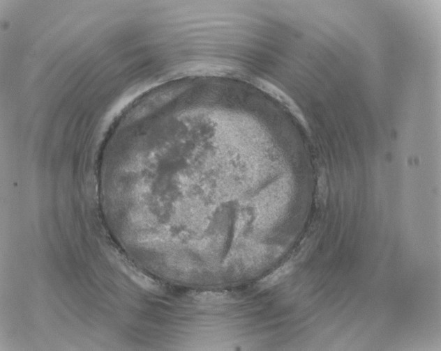 X0000070421027200606302056